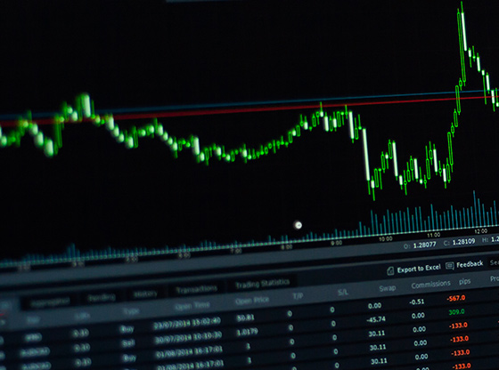 28_StockSnap_G3YOGRBLF3